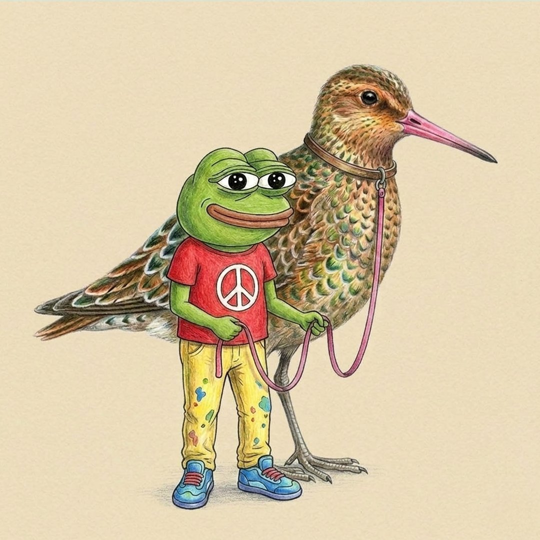 Peace Frog with bird — original Matt Furie artwork
